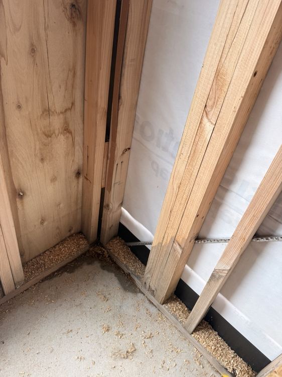 Wall framing and the slab junction while still accessible.