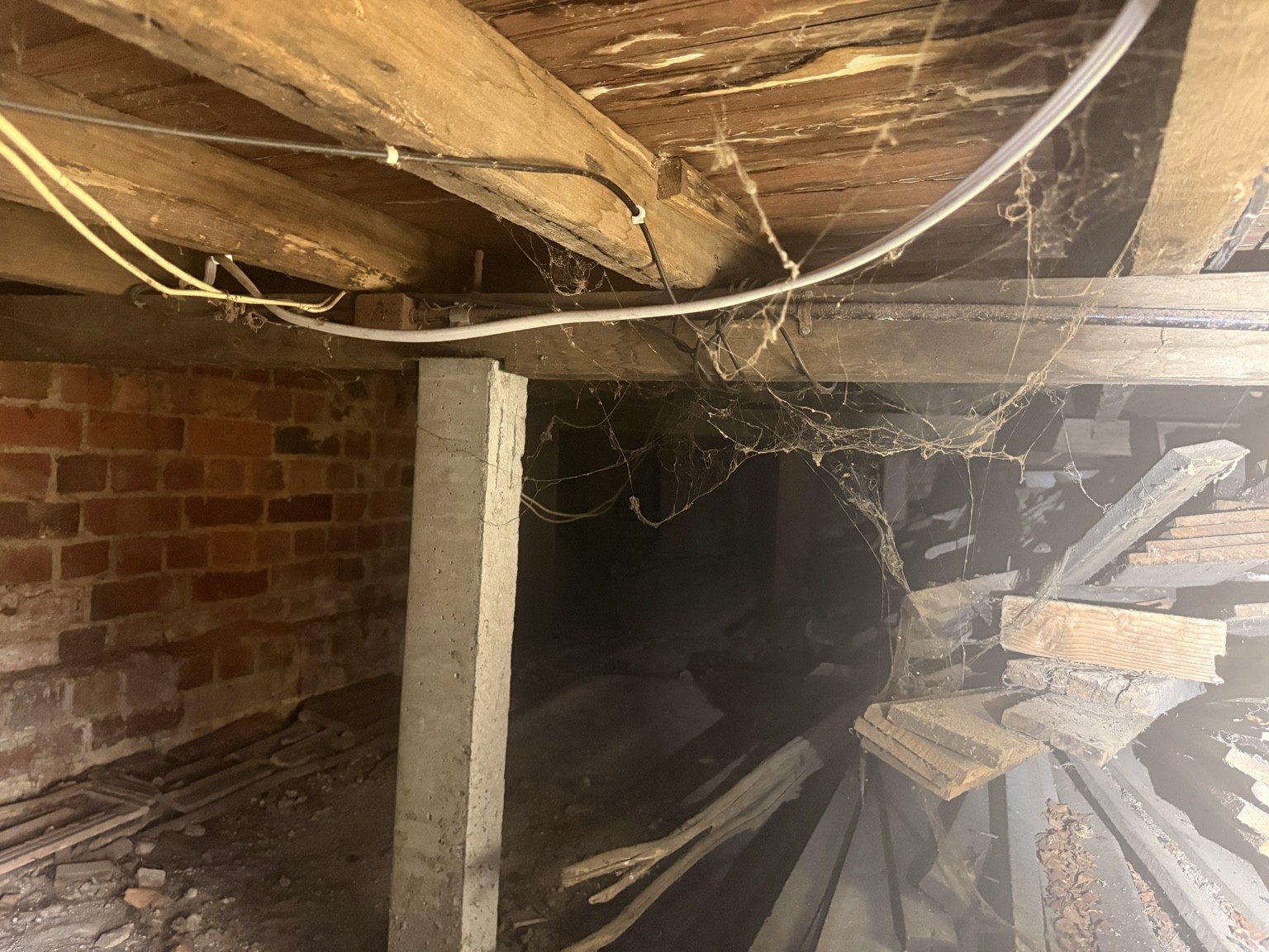 Accessible timber subfloor and supports photographed during a pre-purchase inspection